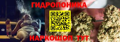 ECSTASY Абакан