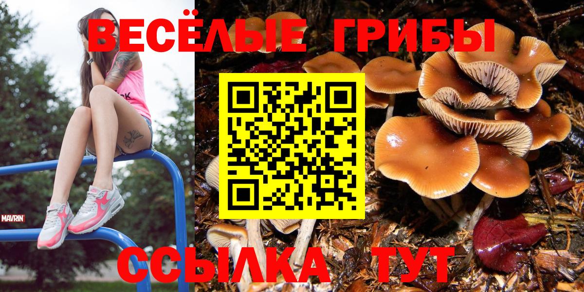 Галлюциногенные грибы Cubensis  Галлюциногенные грибы мицелий  Вход с VPN  Абинск 